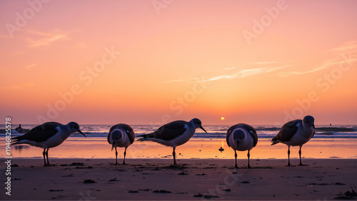 Seagulls silhouetted against a vibrant sunset on a sandy beach