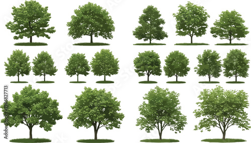 Collection of diverse deciduous green trees featuring various shapes sizes and growth stages isolated on a transparent background for design projects