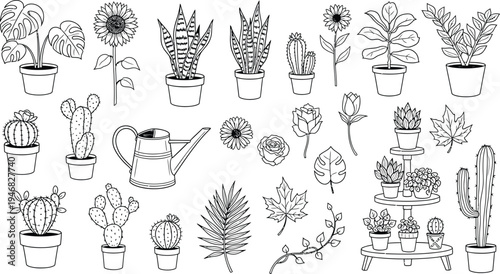 Collection of various potted plants and watering cans