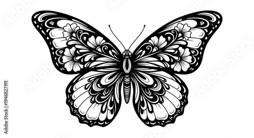 Ornate Butterfly Illustration - Black and White Detailed Wing Design