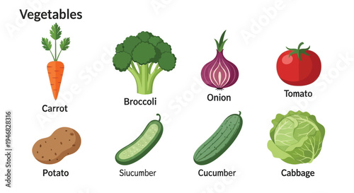 Assorted vegetables including carrot, broccoli, onion, and tomato displayed in a visually appealing graphic illustration format.