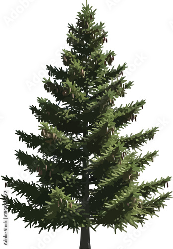 Isolated rendering of a mature coniferous spruce tree with densely packed green needles and hanging brown pine cones stands prominently against the white background.
