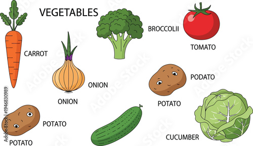 Various cartoon vegetables arranged around title vegetables on white background with simple naming labels