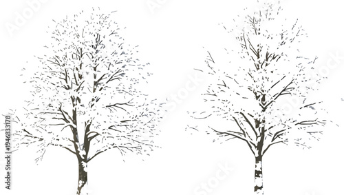 Two deciduous trees heavily laden with fresh white snow stand isolated on a transparent background offering seasonal design elements