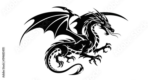 Black Dragon Silhouette with Wings Spread