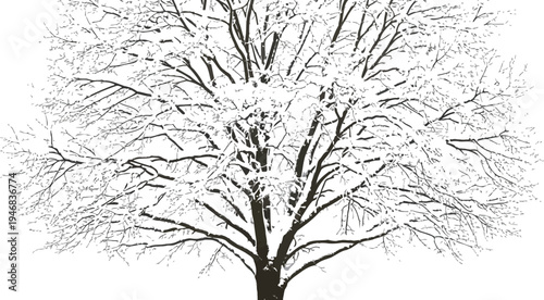 Large deciduous tree branches heavily laden with freshly fallen white snow isolated against a transparent background showcasing winter beauty