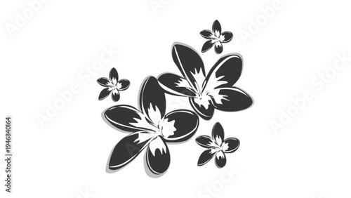 Tropical Plumeria Frangipani Flower Silhouette Vector Illustration