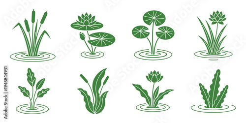 Set of various water plants, vector green aquatic vegetation with ripples