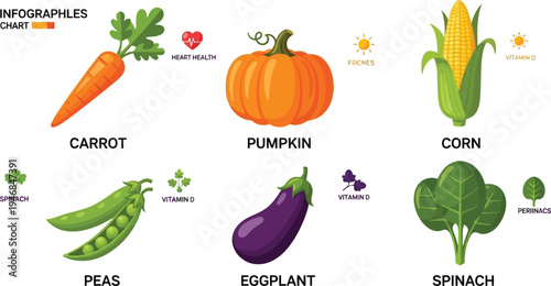 Collection of colorful vegetables and fruits in an infographic chart with health benefits and nutritional information