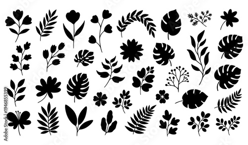 Minimal botanical plant silhouettes with flowers leaves and branches modern vector illustration set