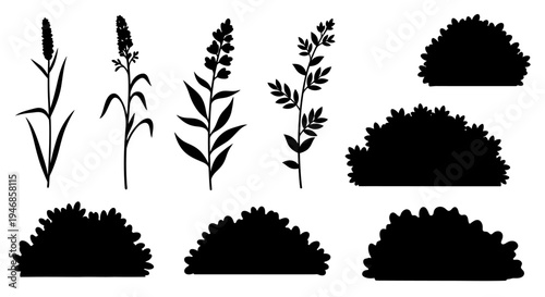 Natural plant and bush silhouettes set, various grass and shrub elements on isolated white background