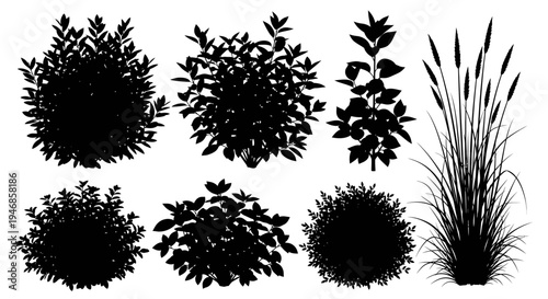 Garden bush and grass silhouettes set, various natural shrub and plant shapes on isolated white background