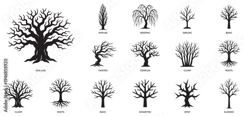Bare trees silhouettes vector icons set. Dead or winter trees with branches and roots, oak, poplar and weeping willow shapes. Vector Illustration.