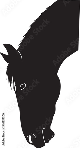 Horse head looking down vector silhouette illustration line art isolated on transparent