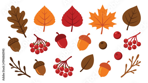 A vibrant vector collection of autumn fall nature elements including colorful leaves, acorns, and berries. Perfect for seasonal designs, decor, or educational materials.