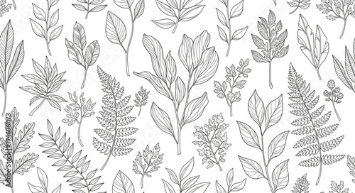 Hand Drawn Botanical Leaf Pattern Black and White Sketch.