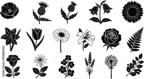 Black and white floral flowers plants botanical