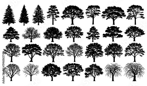 Highly detailed forest tree silhouettes with diverse realistic tree shapes vector illustration set