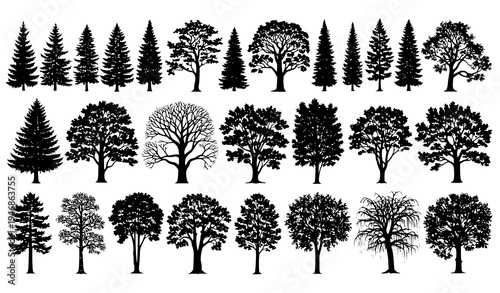 Detailed tree silhouette vector set with realistic evergreen and deciduous forest trees