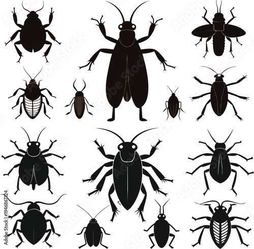 Cockroach silhouette vector icon set.