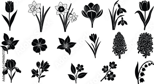 Black floral silhouettes on white background flowers