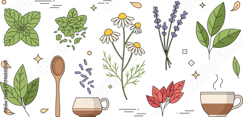 Vector Illustration Set of Herbal Tea Elements Including Chamomile Lavender Mint Leaves and Tea Cups Isolated on White