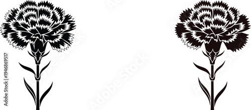 Black silhouette set of two carnation flowers with ruffled petals and long stems, floral nature design elements isolated on a white background.