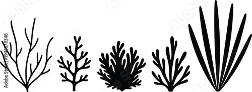 Black silhouettes of various coral reef plants and underwater seaweed set, marine biology illustration isolated on white background, ocean vegetation vector design.