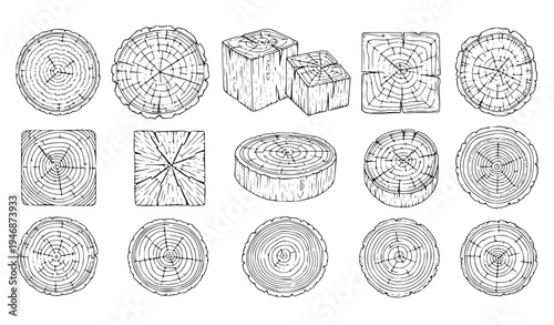 Hand drawn tree ring wood texture collection with log slice and stump outline vector illustration