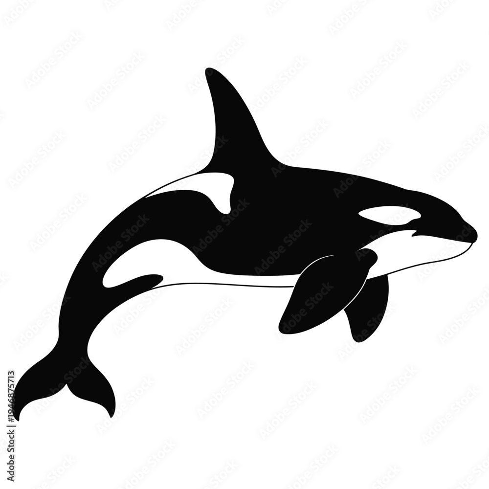 Obraz premium orca