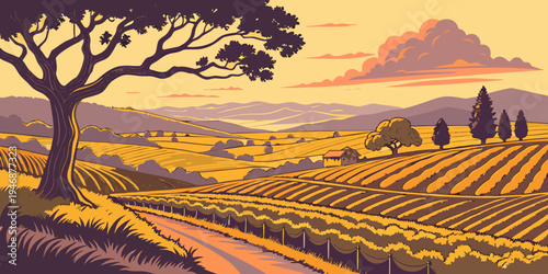 USA, US, U.S, United States - Napa Valley rolling vineyards sunset panorama golden countryside landscape
