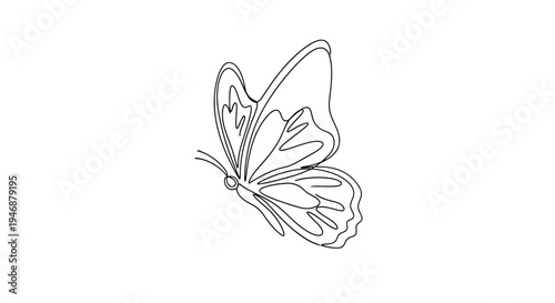 Elegant Butterfly Line Art - Minimalist Insect Illustration