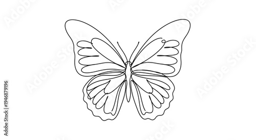 Minimalist Butterfly Line Art Drawing, Elegant Insect Outline, Nature Symbol