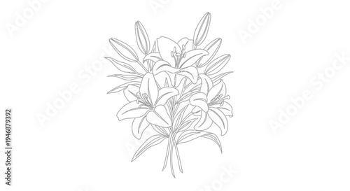 Elegant Lily Flower Bouquet Outline, Delicate Floral Line Art