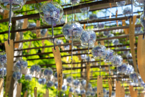 Wallpaper Mural アジサイの風鈴 / A wind chime shaped like a hydrangea Torontodigital.ca