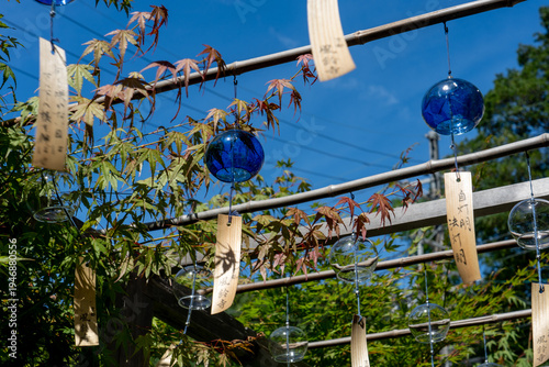 Wallpaper Mural 青色の風鈴 / Blue wind chimes Torontodigital.ca