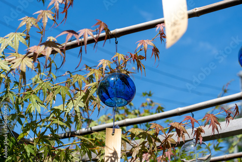 Wallpaper Mural 青色の風鈴 / Blue wind chimes Torontodigital.ca