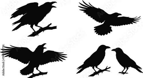 WebRaven, crow, silhouette, set, black, bird, flying, perching, on, branch, calling, with, open, beak, vector, wild, animal, spooky, nature, icons.