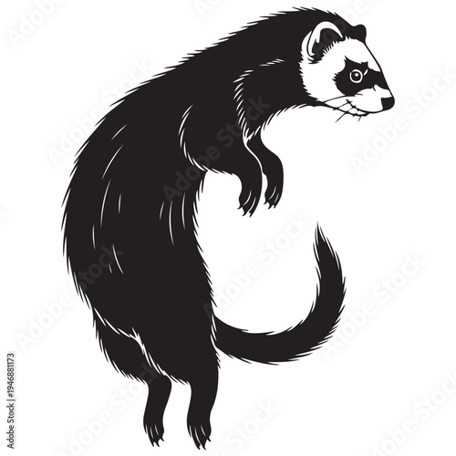 Black and White Ferret Illustration Standing Upright with Masked Face