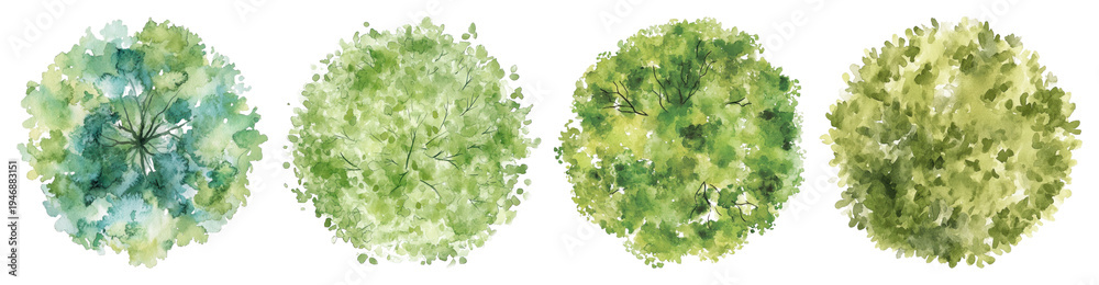 Fototapeta premium PNG Watercolor tree top views on transparent background
