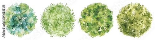 PNG Watercolor tree top views on transparent background
