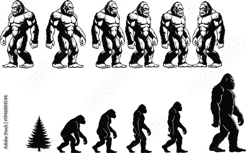 Bigfoot evolution silhouette, forest creature transformation, ape to sasquatch progression, mythical humanoid cryptid, flat vector illustration, mysterious wilderness legend art