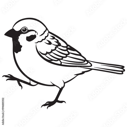 Black and White Line Art Drawing of a Small Bird