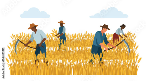 Vector illustration of diverse farm workers, men and women, reaping a golden wheat harvest with scythes. Ideal for agriculture, food, and community concepts.