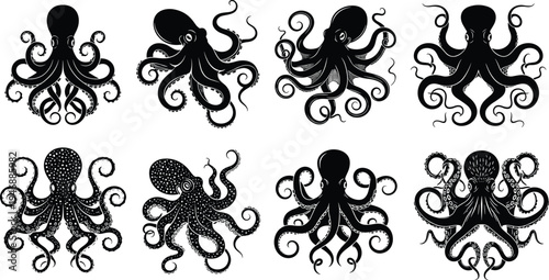 Set of black silhouette and detailed line art octopus icons isolated on white background for marine life ocean themes 
