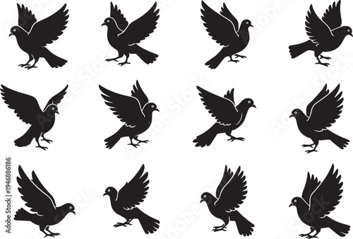 black silhouette illustrations of pigeons in various flight poses are arranged in a grid. The pigeons are depicted with outstretched wings, showing different angles and positions of their bodies.