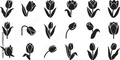 A collection of black silhouette tulip icons arranged in a grid. Each icon depicts a different stage of a tulip's life cycle, from bud to bloom to decay.