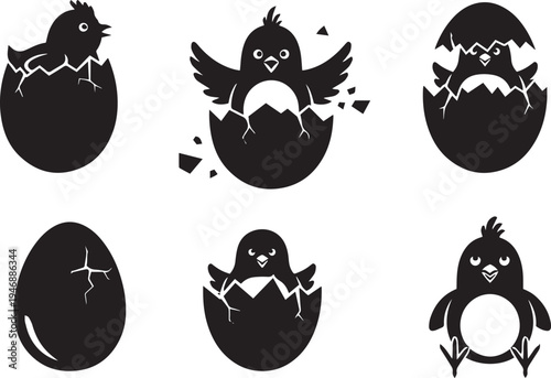 A black and white graphic depicts a chick emerging from an eggshell. The graphic shows six stages of a chick hatching, starting with the eggshell cracking