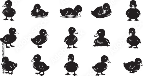 A collection of black duck silhouettes are arranged in a grid pattern on a white background.