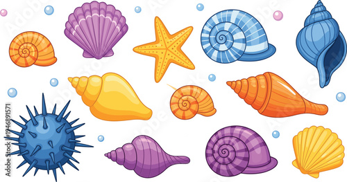 Colorful seashell collection vector set, starfish and spiral shell marine elements, beach ocean nature illustration, flat vector illustration